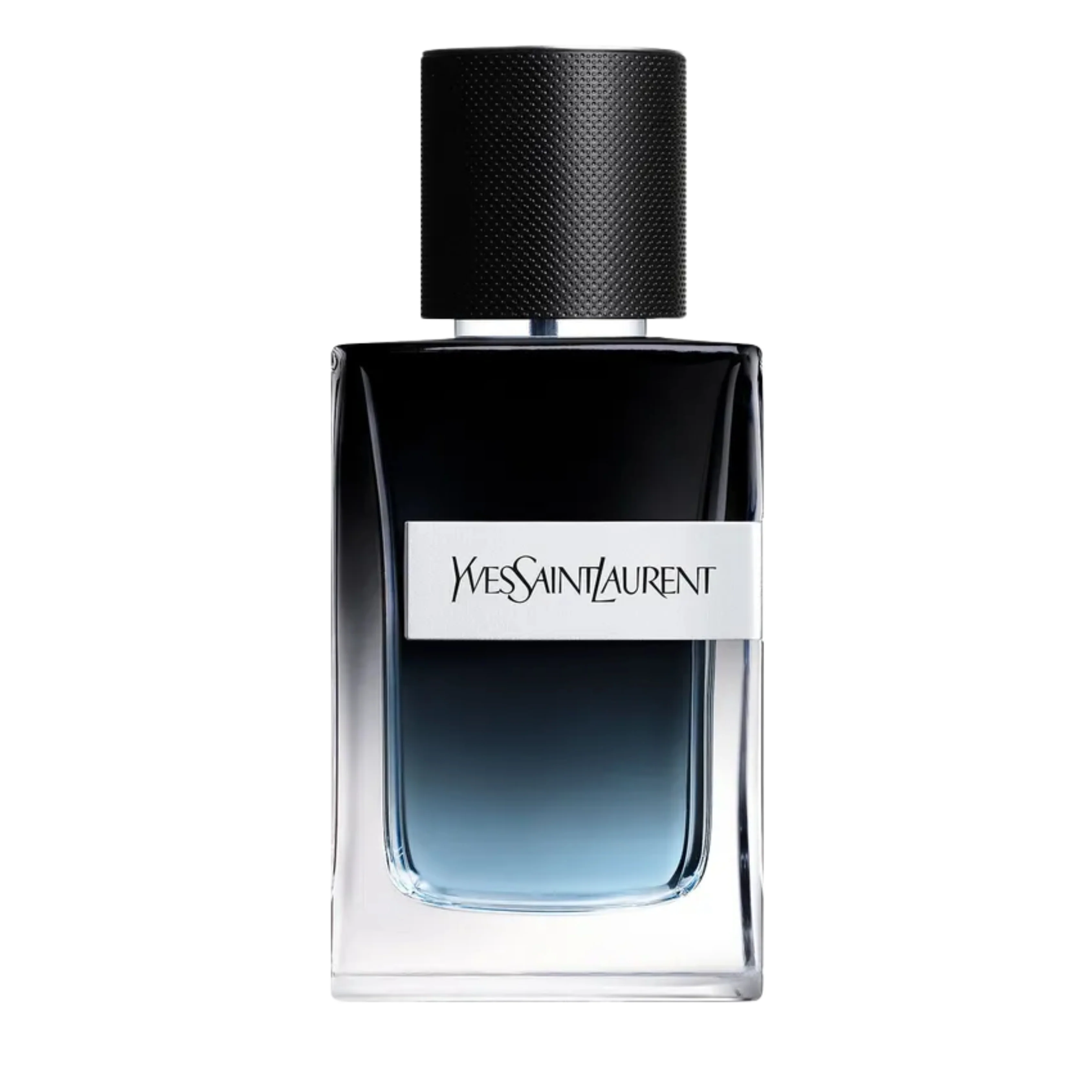 YVES SAINT LAURENT Y
